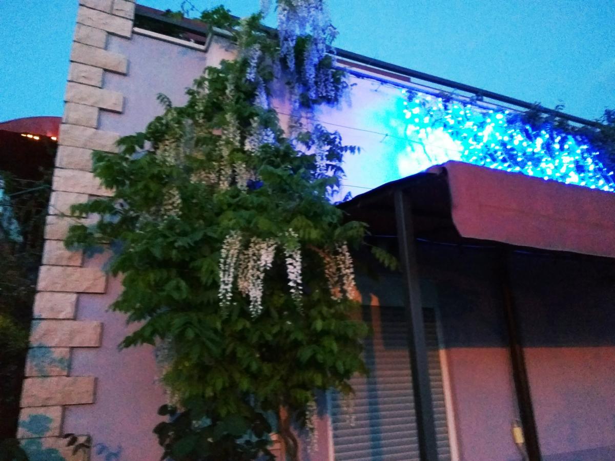 Aparthotel Viola Pjescana Uvala Buitenkant foto